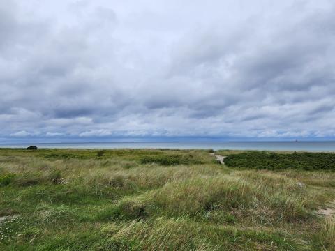 Blick auf die Ostsee aus den Dünen.