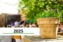 2025 Sommertreffen Icon